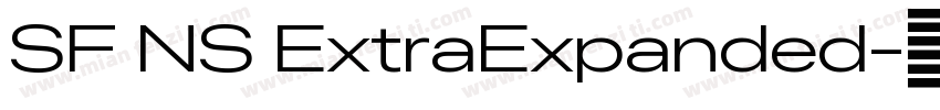 SF NS ExtraExpanded字体转换